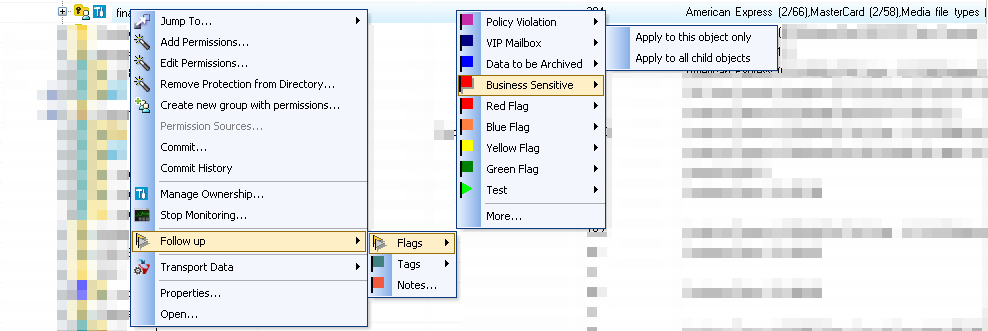 DatAdvantage Custom Flags & Tags: More Metadata = More Power!
